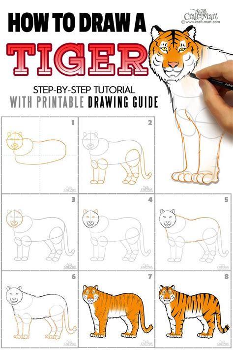 How to create a nice drawing of a tiger for beginners .